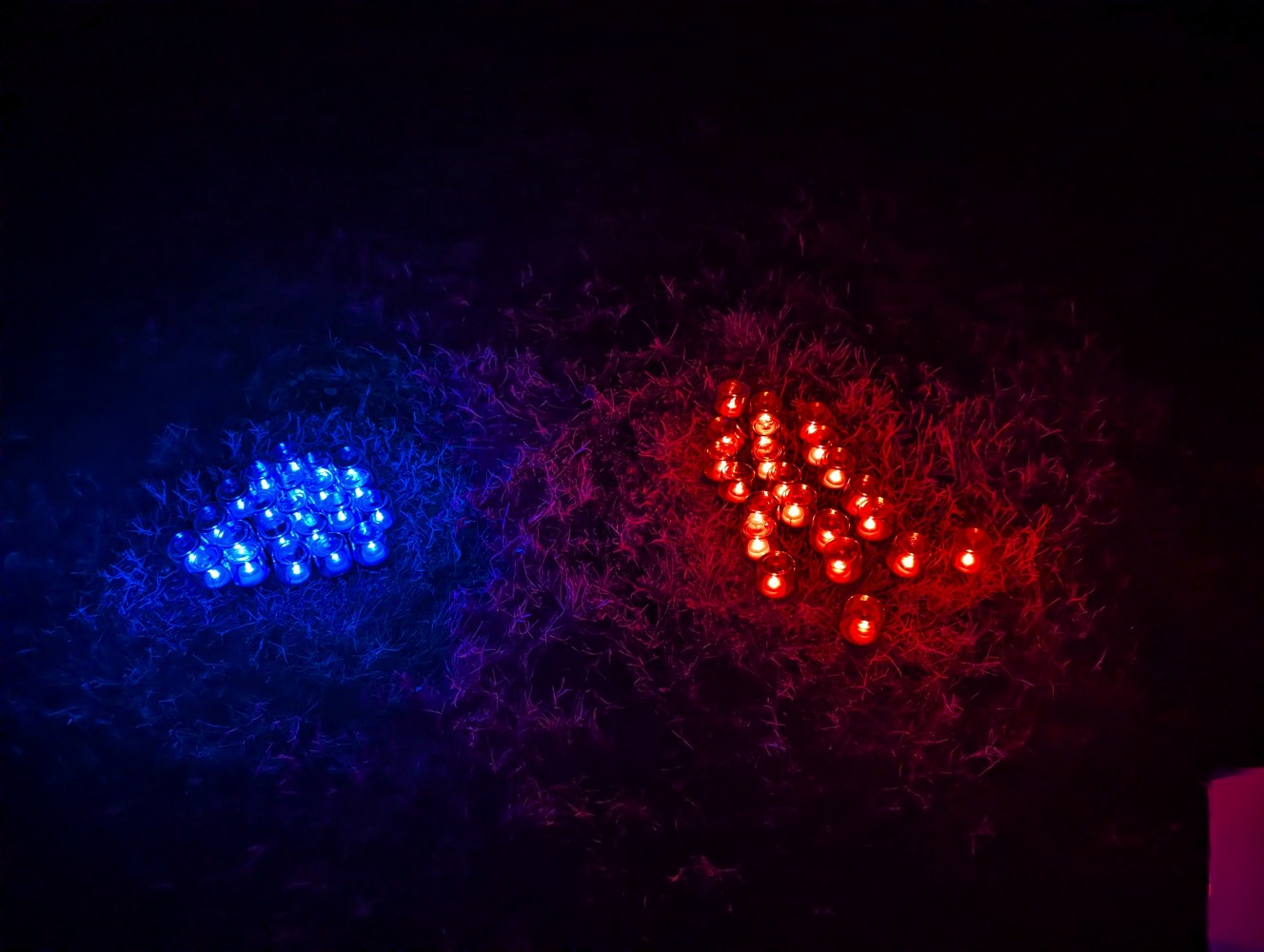Cluster of glowing blue and red lights on grass at night.